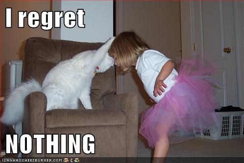 Top 10 Most Beautiful Cat Breeds In The World In 2020 Memes