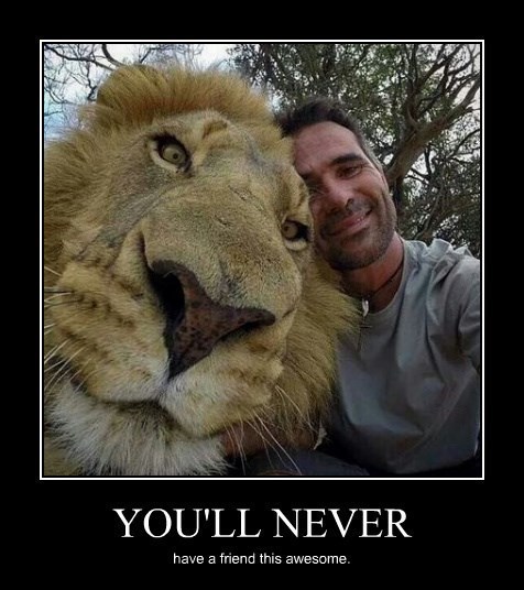Job Posting Are You A Lion Or Gazelle No Computer Idea Dog