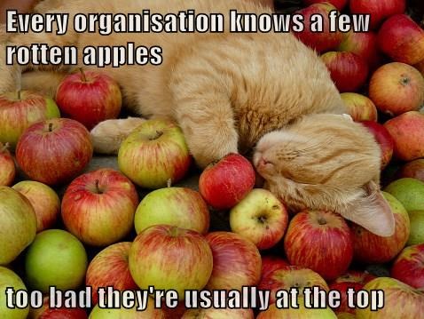 Dear Cops Cop Apologists When Farmers Find A Rotten Apple They