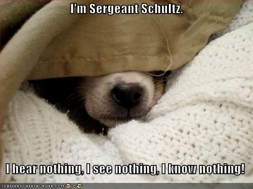 25 Best Memes About Schultz I Know Nothing Meme Schultz I
