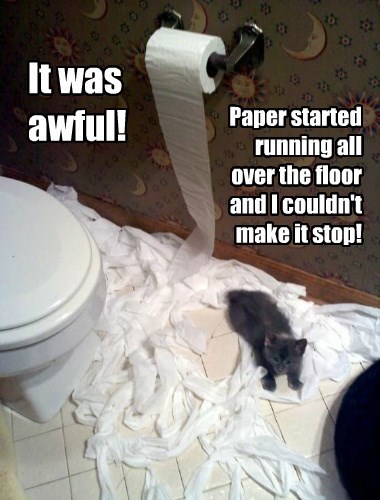 Flood Puns