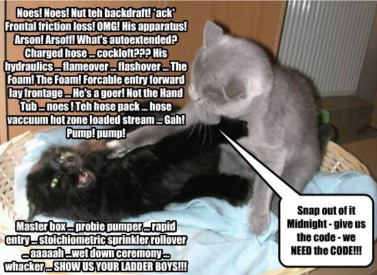Fat Cat Victor Memes Condemn Russian Airline S Punishment Of His