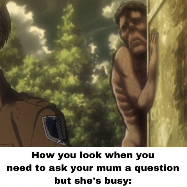 The Best Attack On Titan Memes Memedroid