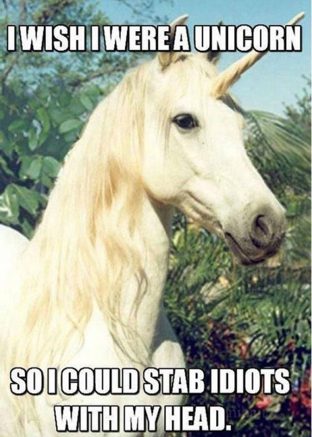 Taylor Swift Rides A Cat Unicorn Metro Co Uk Youtube