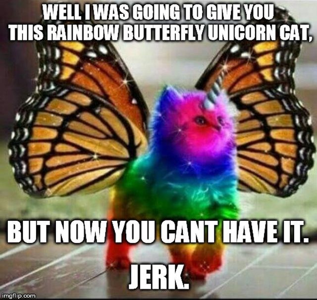 Rainbow Unicorn Kitten Cat Riding A Fire Breathing Unicorn