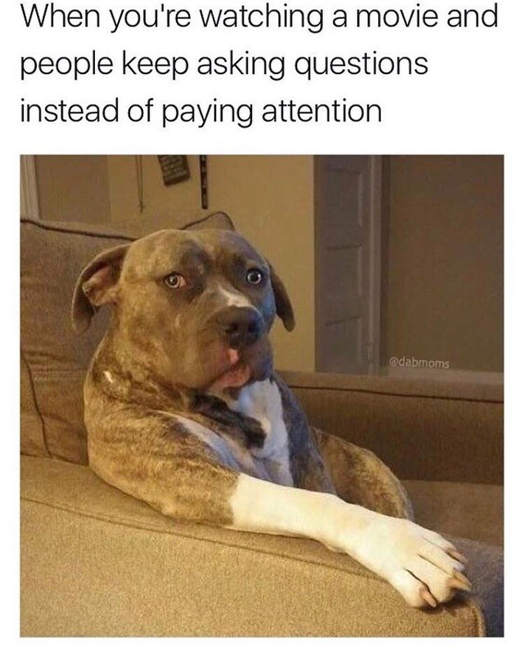 Puppy Dog Guilty Look Memes Gifs Imgflip