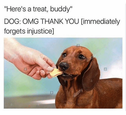 50 Marriage Memes Your Spouse Doesn T Want You To See 22w