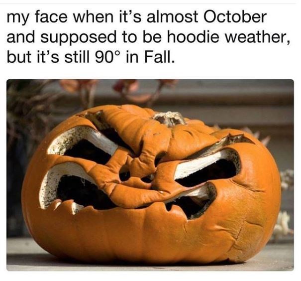 I Mean It S Almost Summer By Mandanator Meme Center