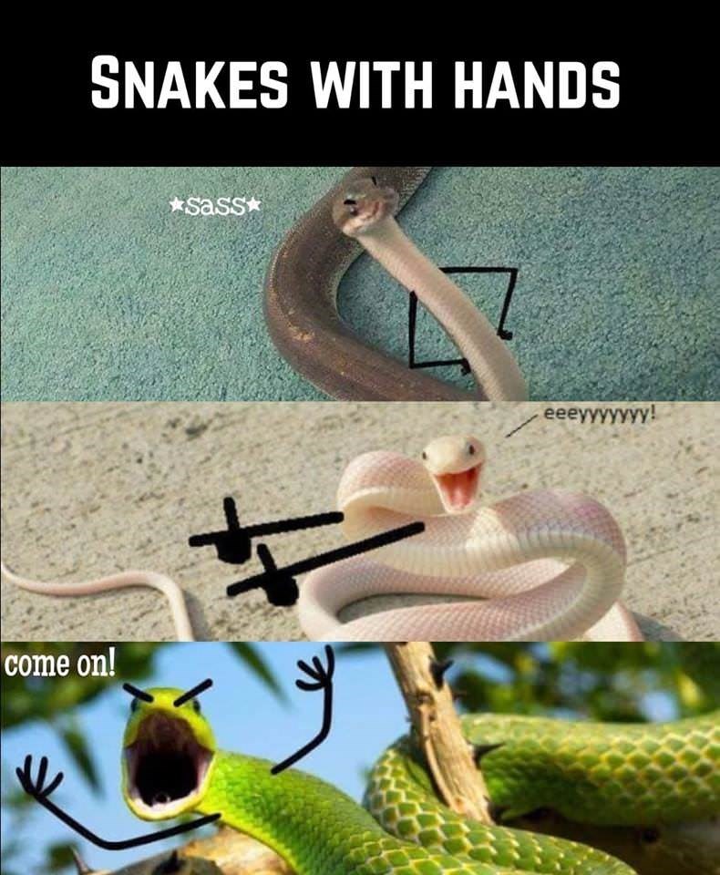 Steve Irwin Memes Gifs Imgflip