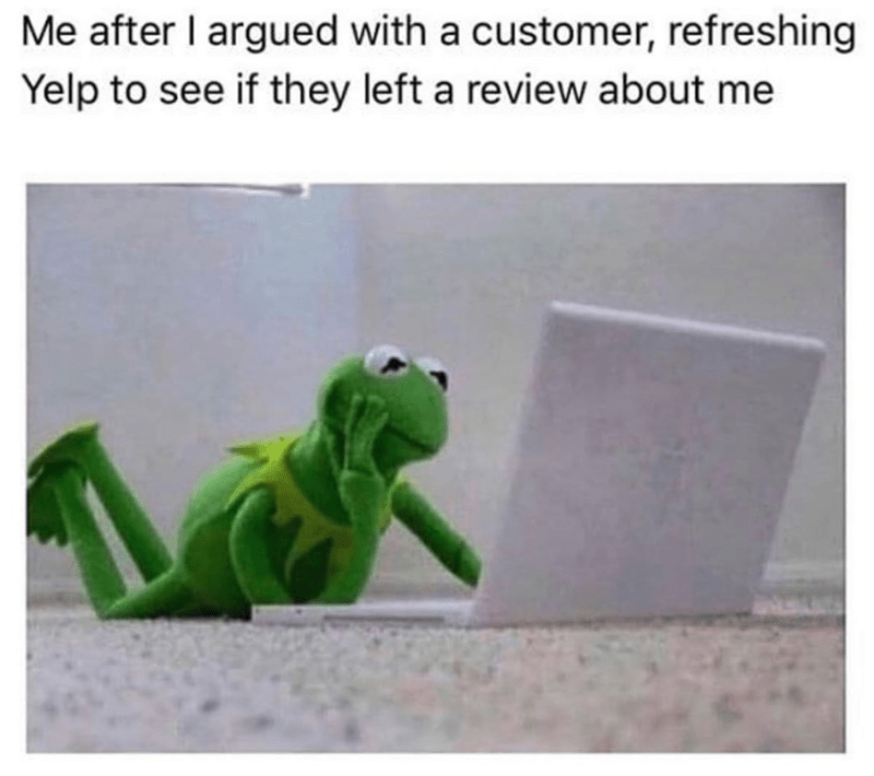 Cheezburger Kermit The Frog I Can Has Cheezburger Failblog
