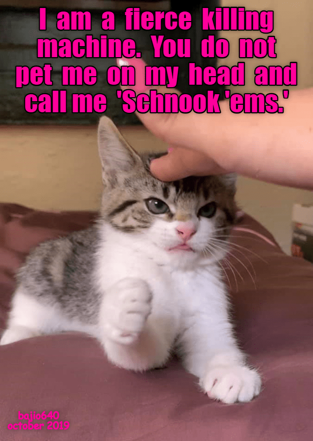 It S So Embarrassing Memes