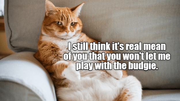 Weed Memes That Don T Suck Funniest Weed Memes From Around The Web