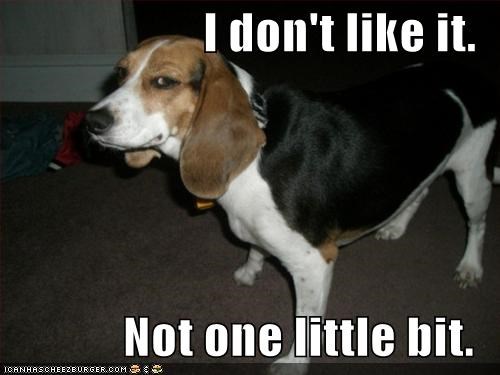 The Good Ol Philosophy If I Dont Like It Nobody Else Should Either