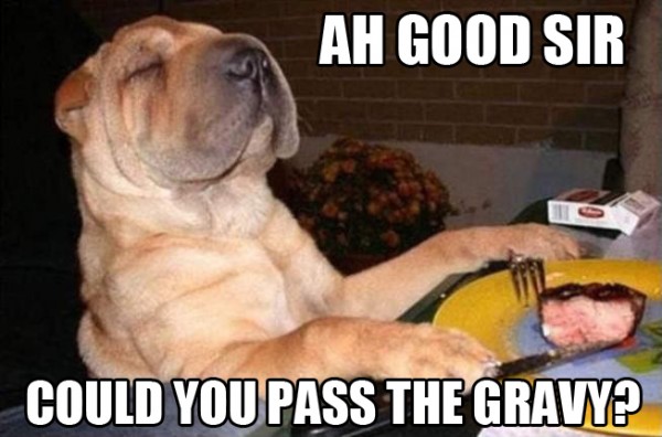 Gobble up Some of Our Favorite Thanksgiving Animal Memes I Can Has