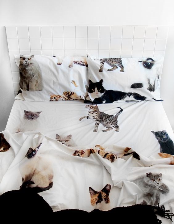 20 Adorable Fashion Items For Anyone Who's Obsessed With Cats I Can Has Cheezburger? Funny