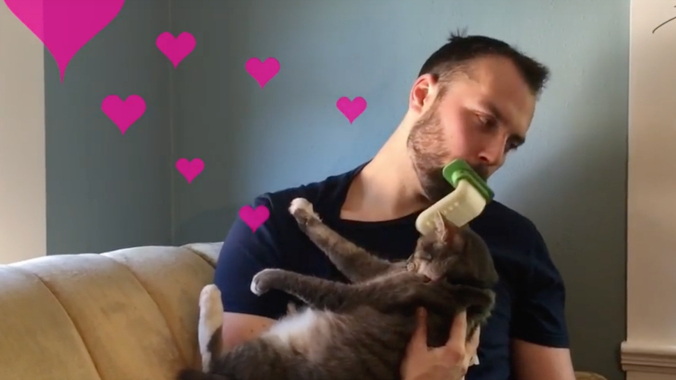 Meet The Licki Brush, A Giant Prosthetic Tongue that allows you to lick