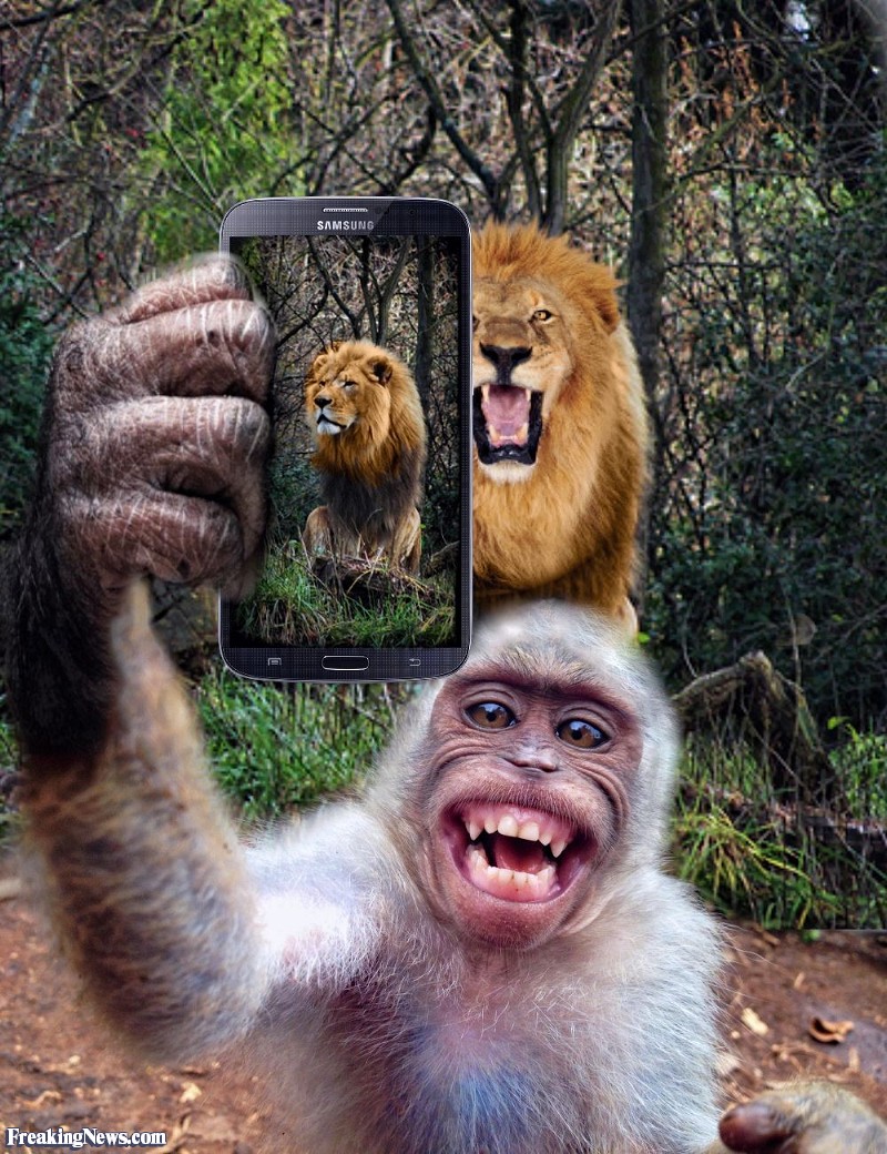 What If Animals Had Cellphones? 17 Hilarious Photos I Can Has