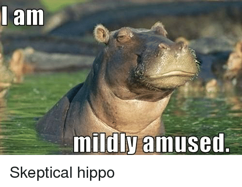 Time For Some Hippos! 15 Funny memes to make your Sunday better I Can