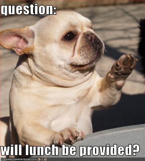 question will lunch be provided? I Can Has Cheezburger?