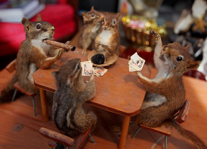 20 Animals That Decided To Play Human Games This Saturday I Can Has
