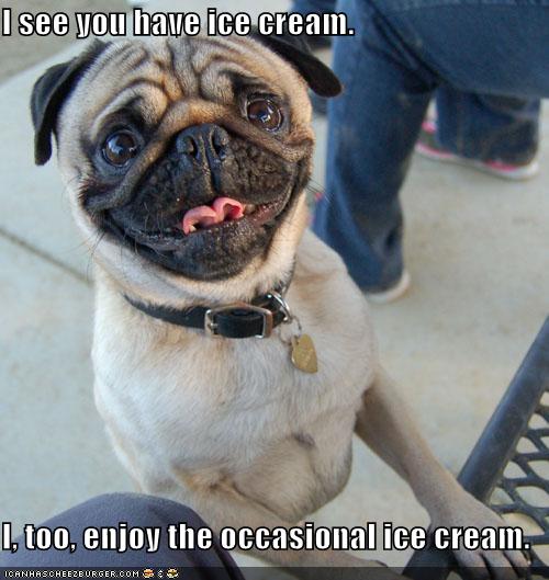 I see you have ice cream. I Has A Hotdog Dog Pictures Funny pictures of dogs Dog Memes