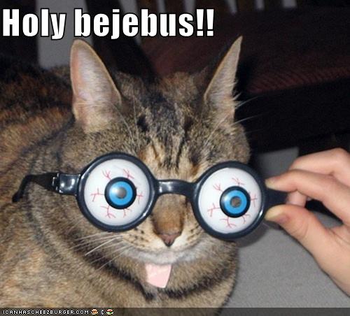 My, What Big Eyes You Have! Animal Capshunz Funny Animals Animal