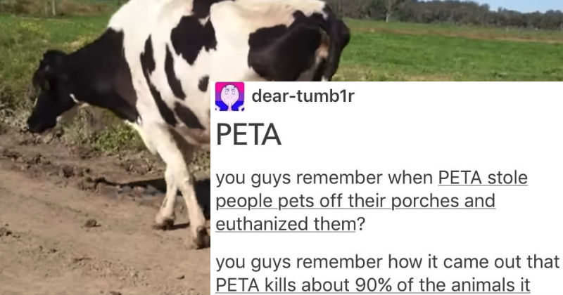 Intense AntiPETA Rant Is Enough To Make You Hate Them Forever FAIL
