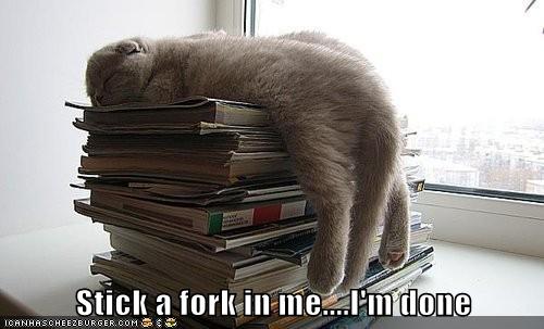 Stick a fork in me....I'm done Lolcats lol cat memes funny cats