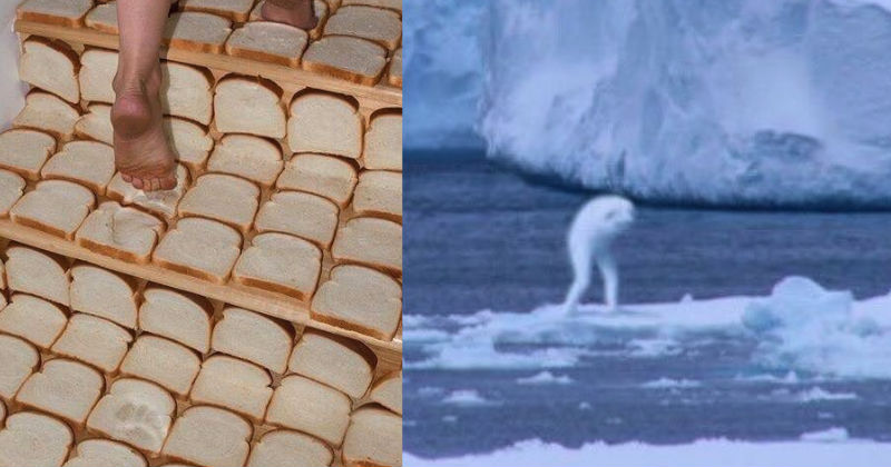 16 Cursed Images Taken From A Doomed Dystopian World FAIL Blog Funny Fails