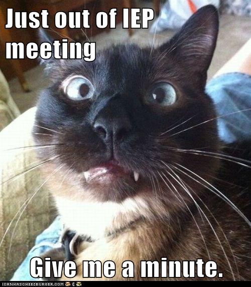 Iep Meeting Memes Iep Meeting Meetings Quotes Autism Humor Memes