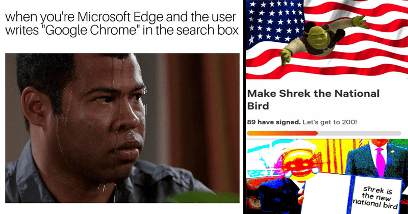 The Best Memes Of 2018 According To The Verge Staff The Verge