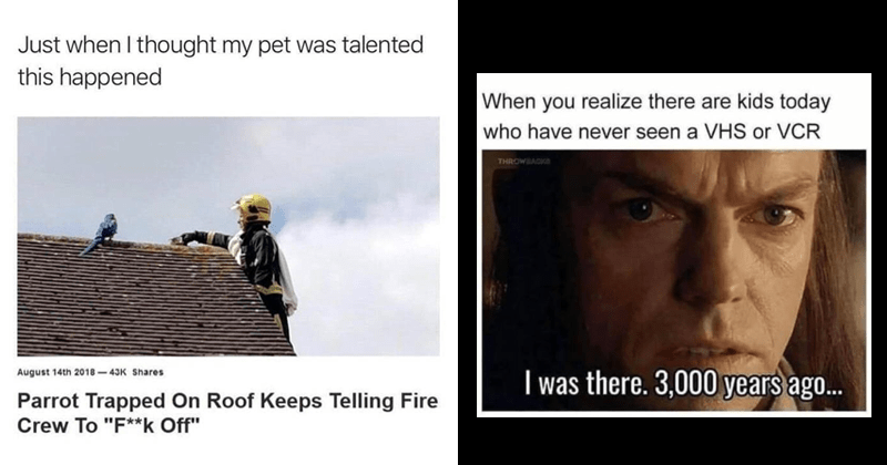 Create Meme People Elrond Memes Elrond Pictures Meme