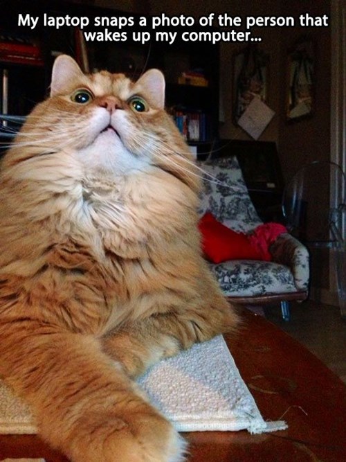 He Changes my Password Every Time Lolcats lol cat memes funny