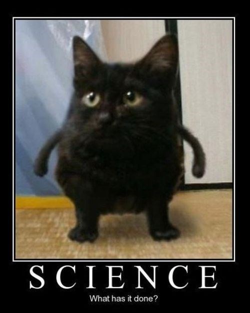 Very Demotivational funny Very Demotivational Posters Start Your