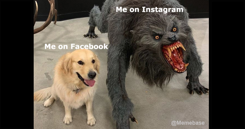 14 'Dog Vs. Werewolf' Memes That Symbolize The Transformations We All