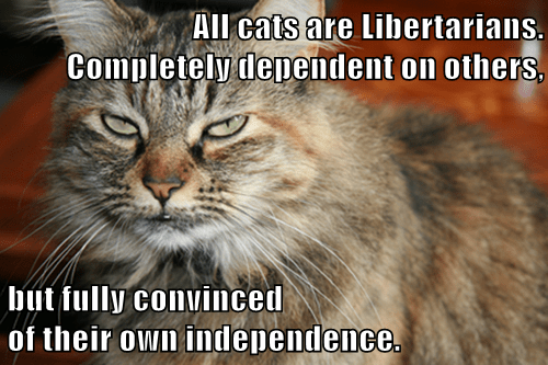 All cats are Libertarians. Completely dependent on others, but fully