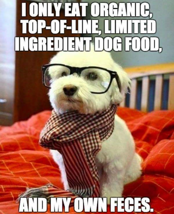 Some dogs are just picky eaters I Has A Hotdog Dog Pictures Funny