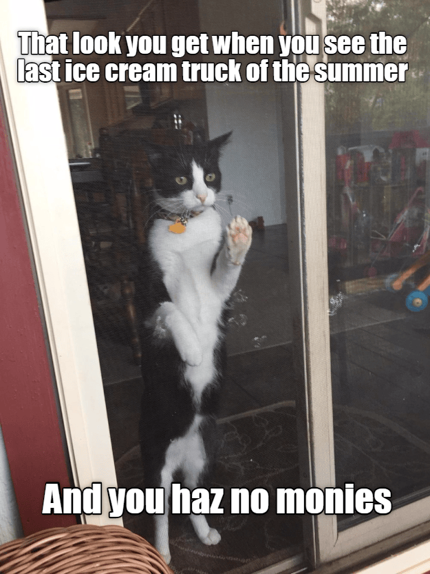 ByeBye Ice Cream Mans Lolcats lol cat memes funny