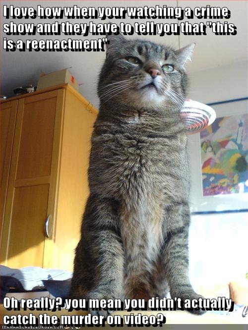 Stating The Obvious Lolcats lol cat memes funny cats funny
