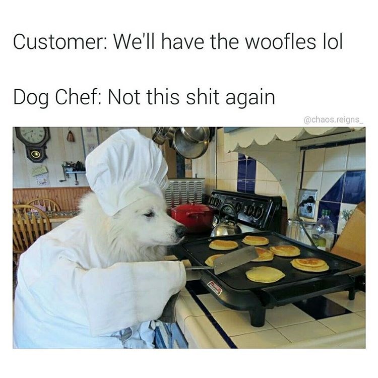 Bon Appetit! Memebase Funny Memes