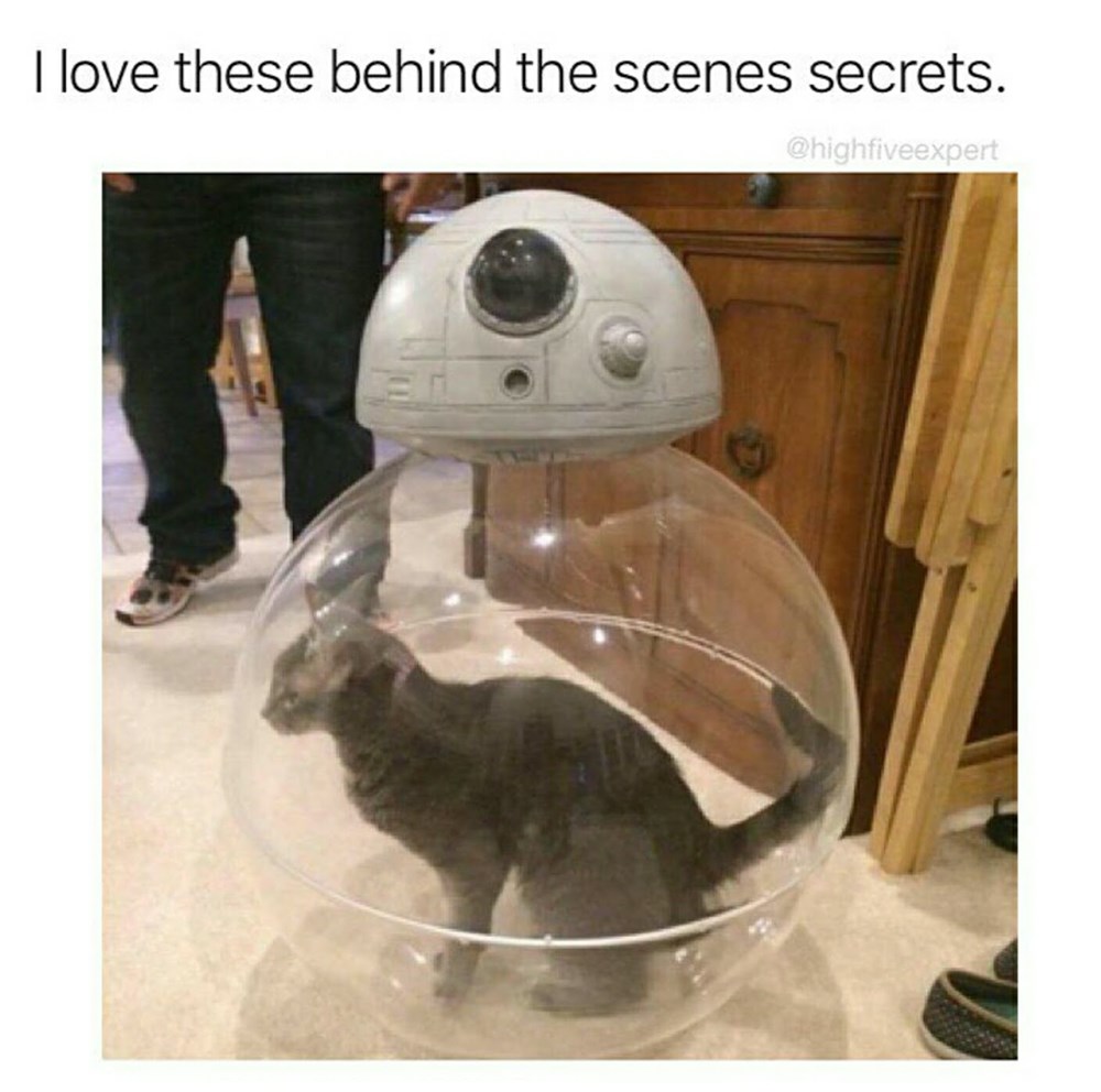 23 Memes to Help You Over the Afternoon Slump Memebase Funny Memes
