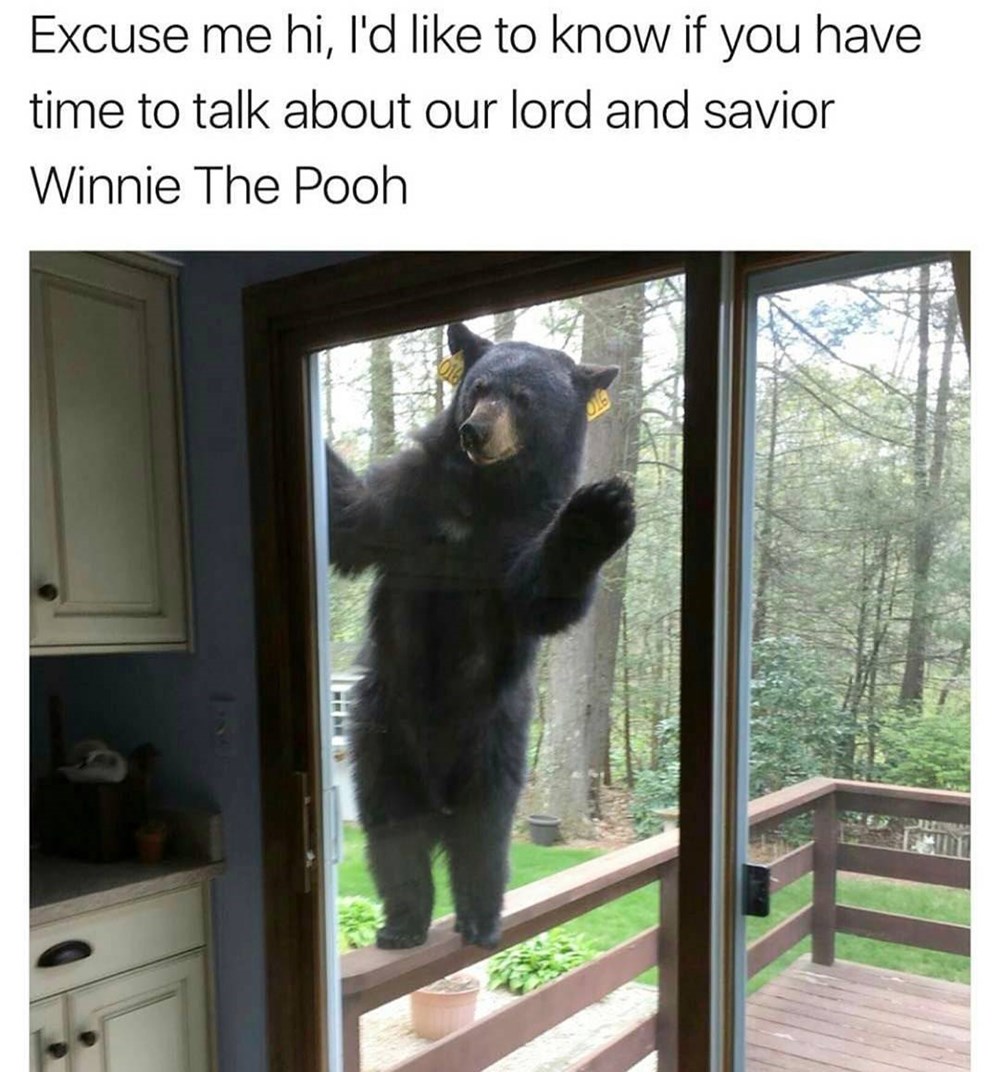 19 of Today's Most Funny Memes Memebase Funny Memes
