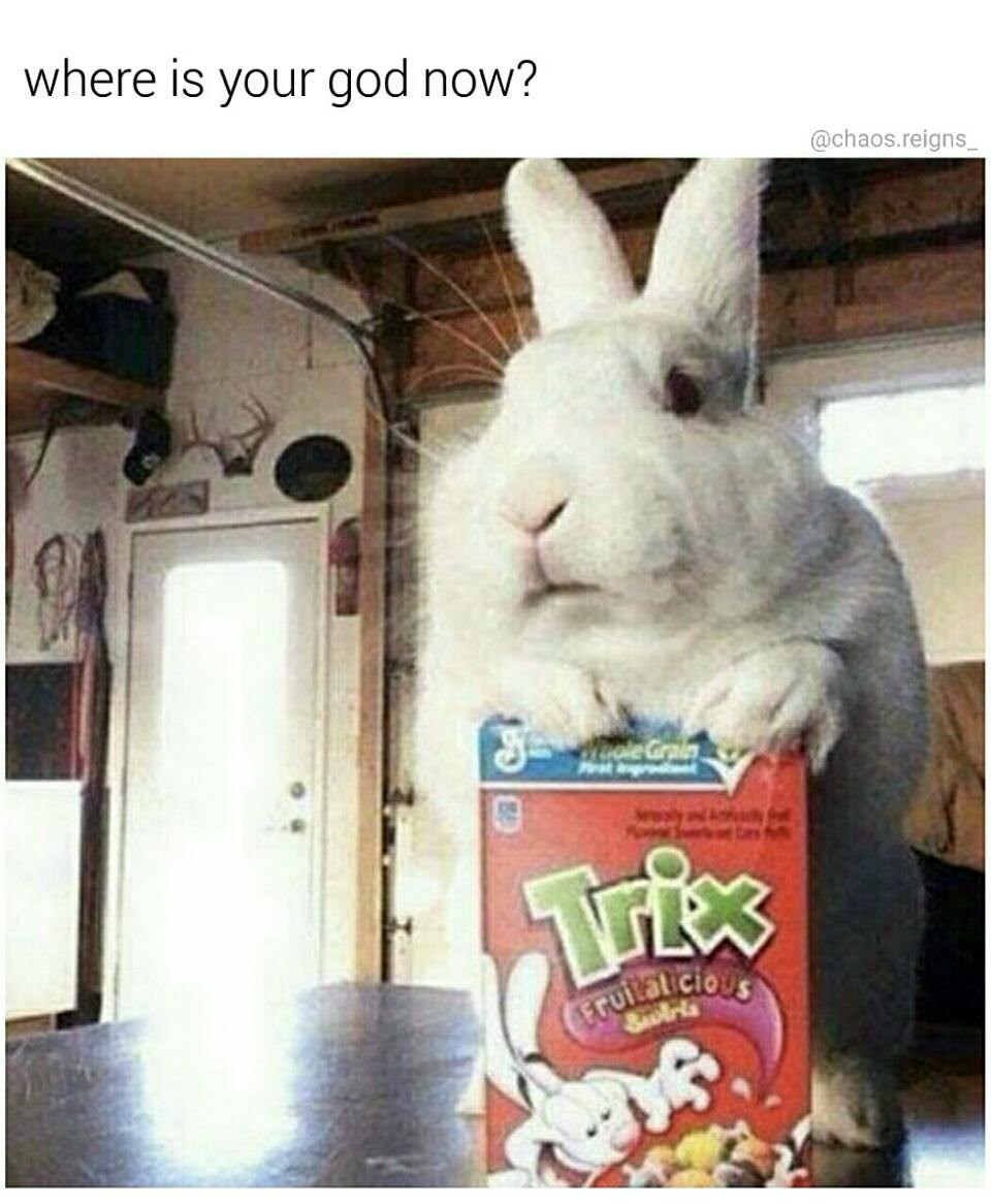 Silly Rabbit Memebase Funny Memes