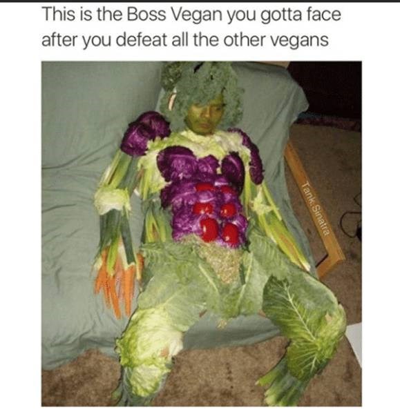 32 Vegan Memes That Will Make You Want a Steak FAIL Blog Fail
