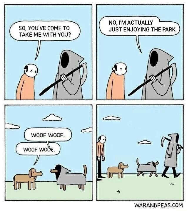 Memebase grim reaper All Your Memes In Our Base Funny Memes
