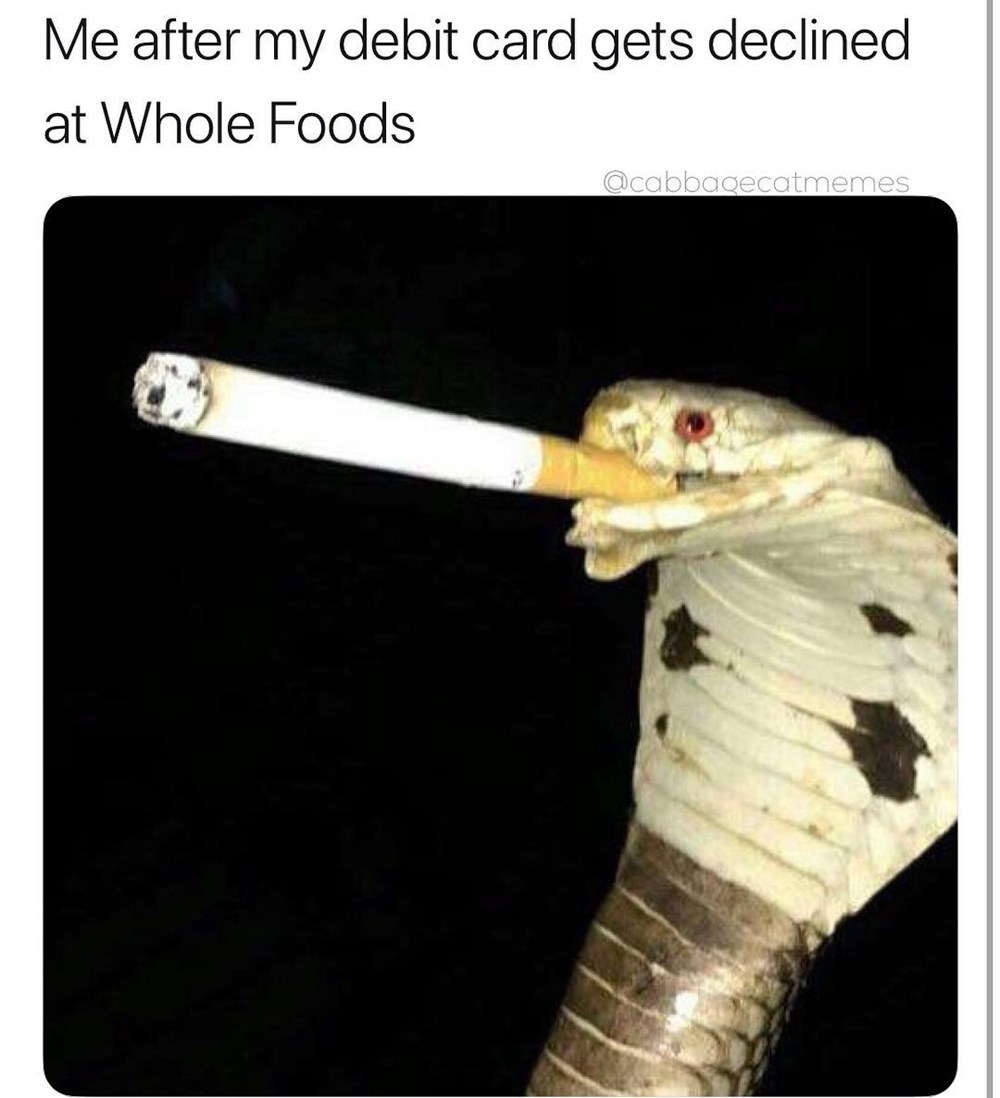 Memebase snake All Your Memes In Our Base Funny Memes Cheezburger