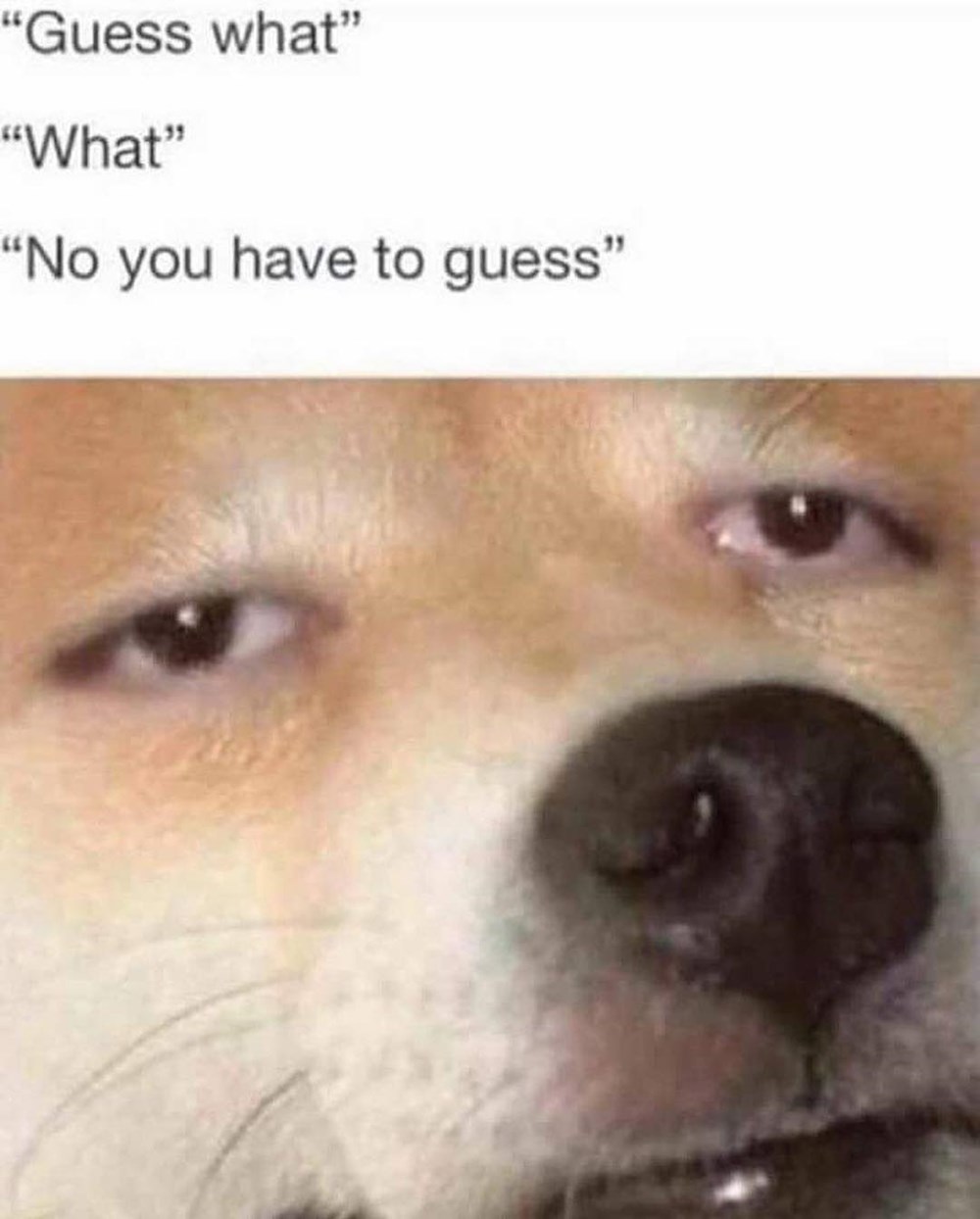 Stop Memebase Funny Memes