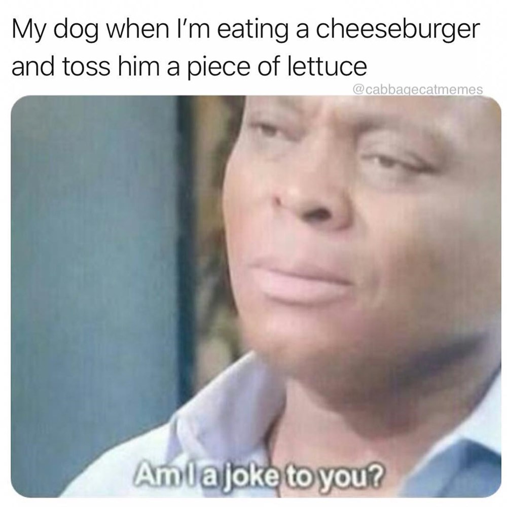 Memebase am i a joke meme All Your Memes In Our Base