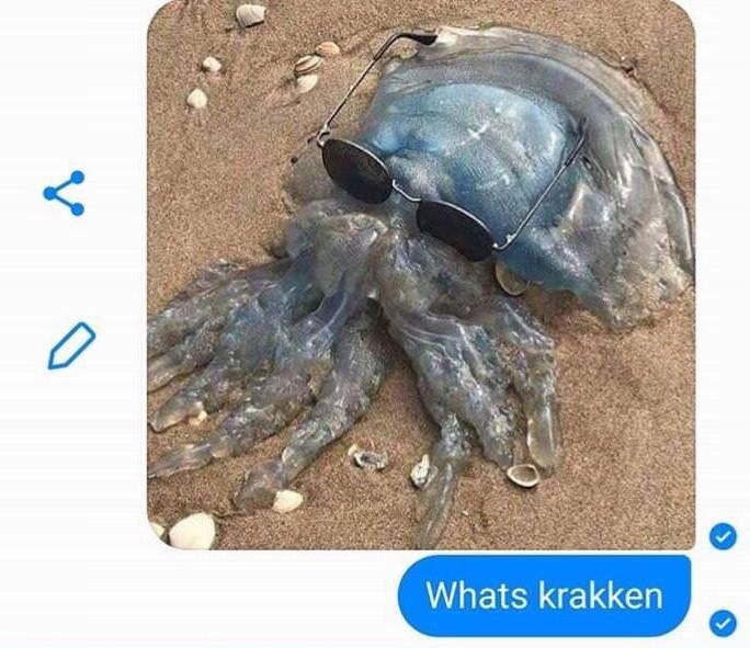 Memebase octopus All Your Memes In Our Base Funny Memes Cheezburger
