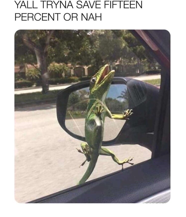 Memebase GEICO All Your Memes In Our Base Funny Memes Cheezburger